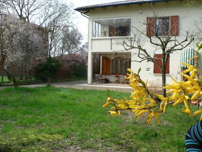 Others 5, La Quercia e il Gelso, Bologna