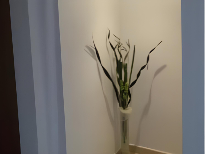 Others 4, P&R hostals Codolar, Girona