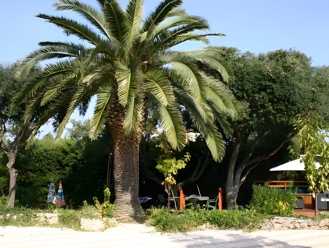 Others 5, Les Tourterelles, Var