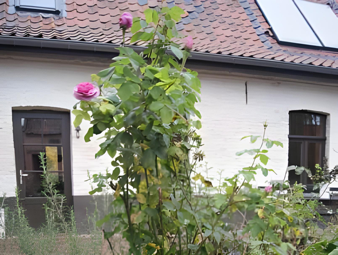 Others 5, Gites Chambres d'hotes de charme B&B - La Cense du Pont - Campagne de Lille, Nord