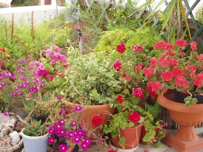 Others 5, Aeolia Boutique Studios, South Aegean