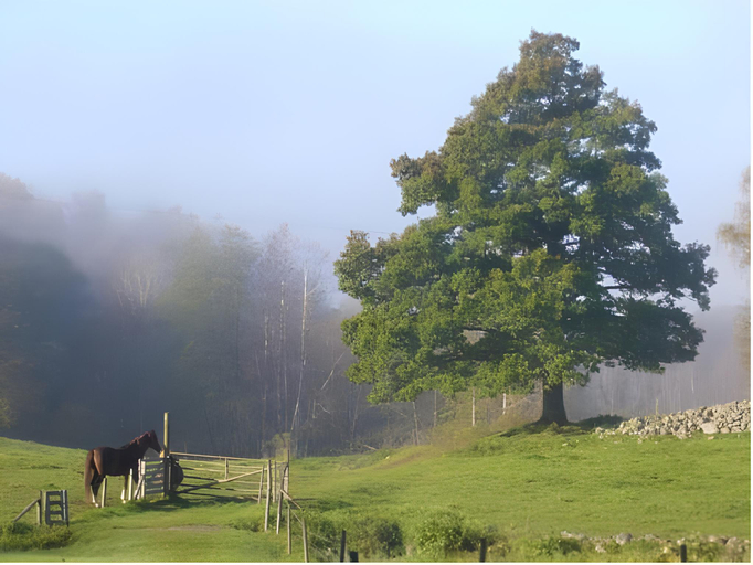 Others 4, Sjobacken Gard, Skara