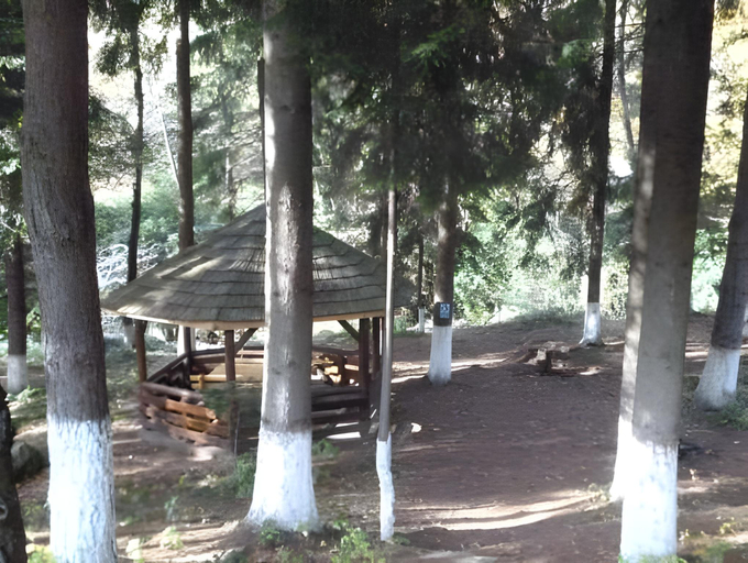 Others 5, Pensiunea Limpedea, Baia Sprie