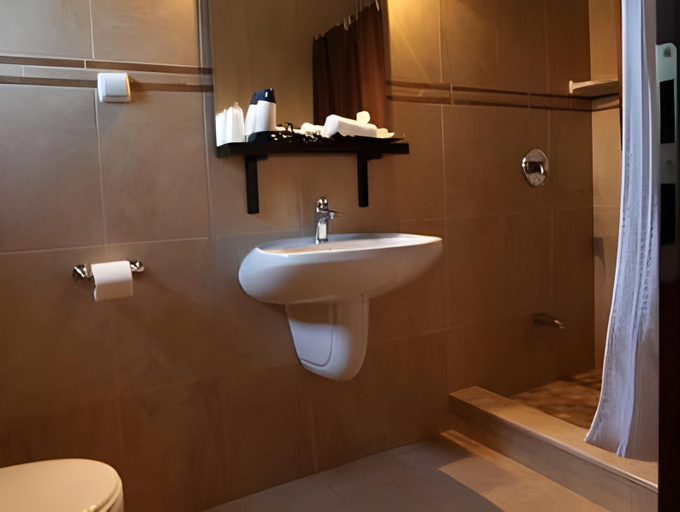 Bathroom, Vila Roca Hotel and SPA Apuseni, Poieni