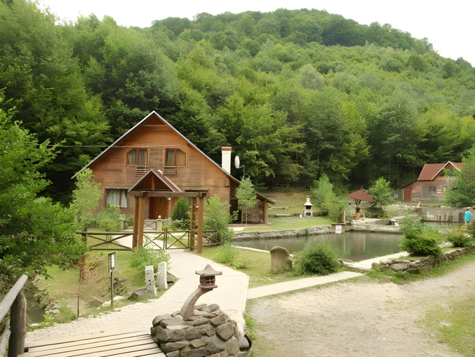 Others 5, Voevodyno Resort, Perechyns'kyi