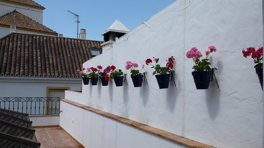Hotel Boutique Casa Veracruz, Málaga