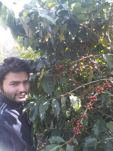 Others 4, Begnas Coffee House & Hotel, Gandaki