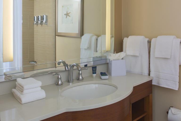 Bathroom 3, Four Points by Sheraton Suites Tampa Airport Westshore, Hillsborough