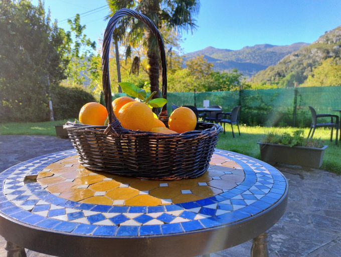 Food & Drinks 5, Hotel Casona Villa De Palacios, Cantabria