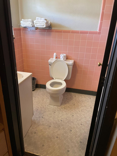 Bathroom 4, Twin Pine Motel, Moniteau