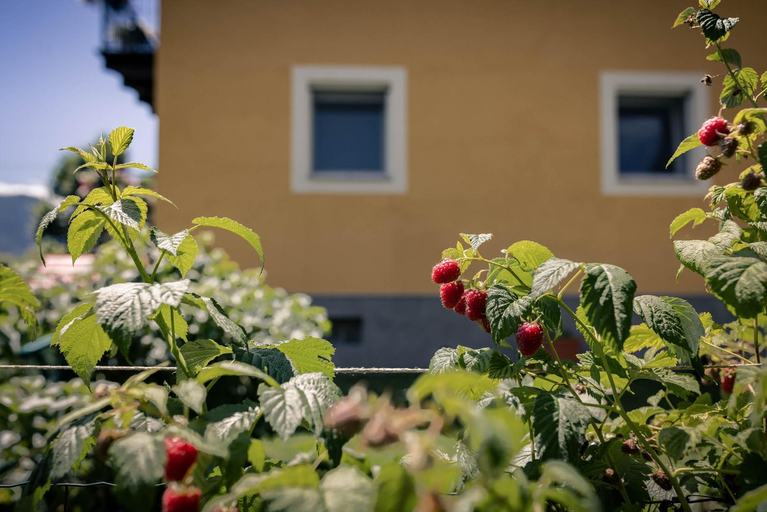 Others 3, l'Oura B&B, Aosta
