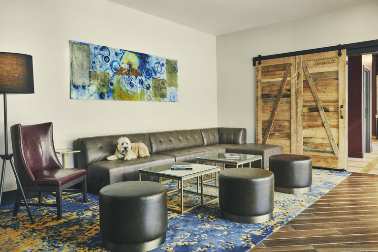 Public Area, The Draftsman, Charlottesville, University, Autograph Collection Hotel, Charlottesville