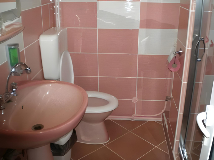Bathroom 3, Complex Turistic Caprioara, Baia Mare