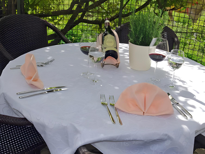 Food & Drinks 4, Hotel Hohberg "Next to BBC Arena", Schaffhausen