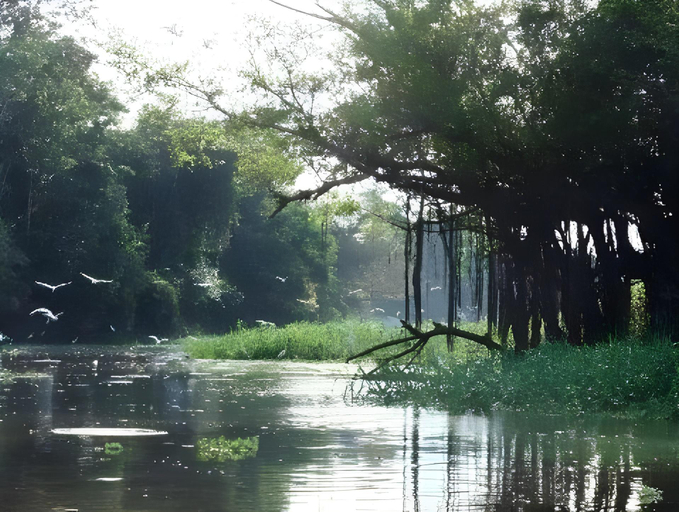 Others 5, Amazon Muyuna Lodge - All Inclusive, Maynas