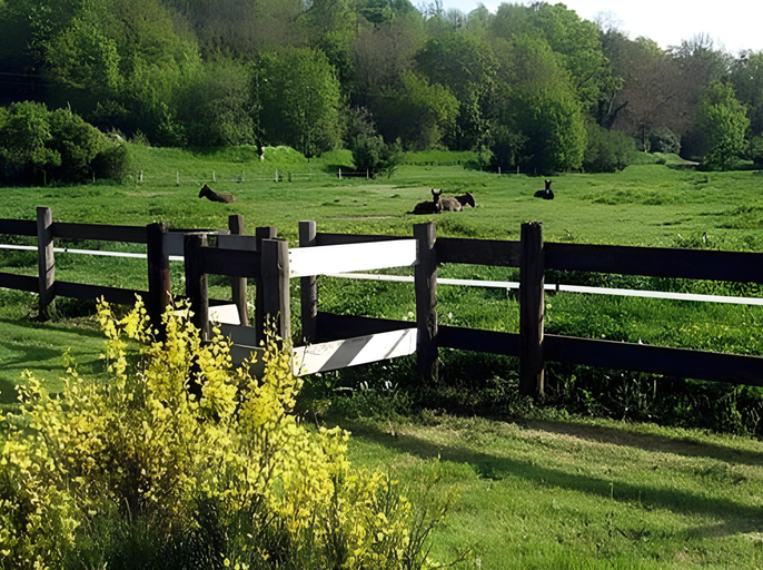 Others 4, Le Moulin de Pommeuse, Seine-et-Marne