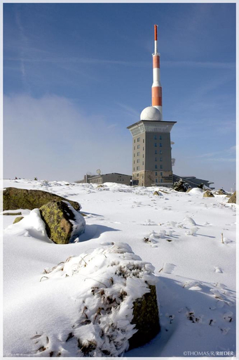 Puppenstubchen, Harz