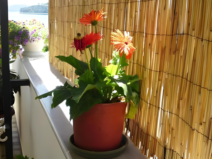 Others 5, Sundy's Studios, Ionian Islands