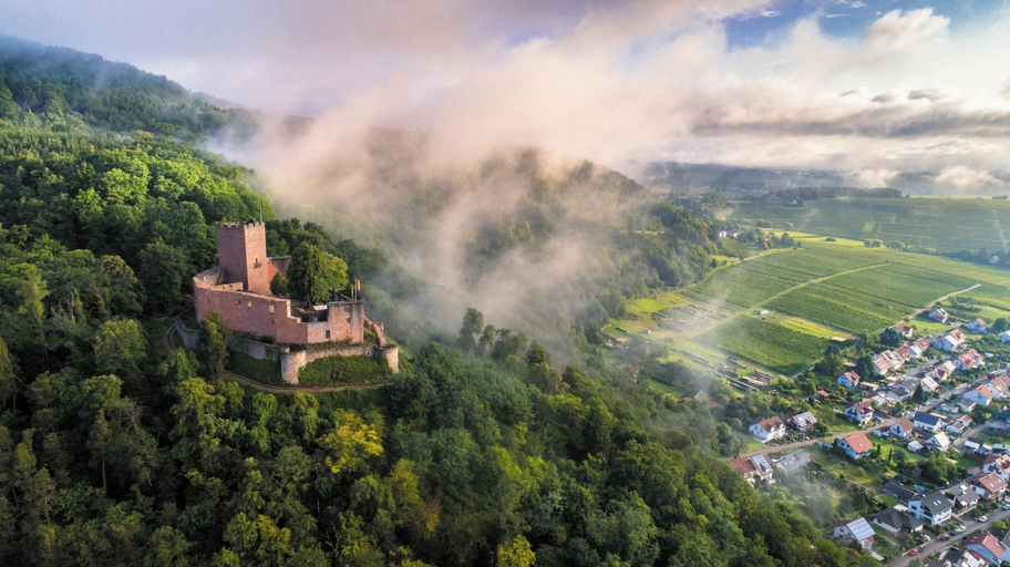 Others 5, Land.Wein.Gut Pension, Südliche Weinstraße