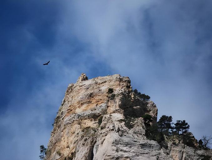 Others 5, Le Sareymond, Drôme