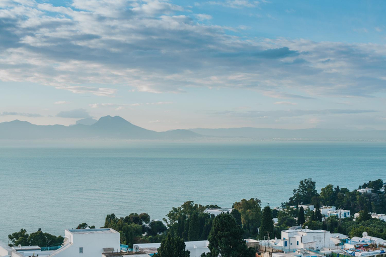 Others 4, Les Jardins du Phare de Sidi Bou Said, Carthage