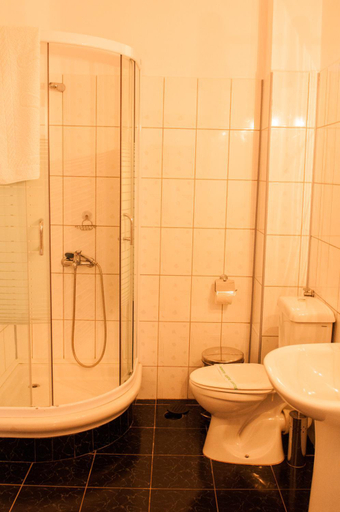 Bathroom, Pensiunea Ingrid, Tuzla
