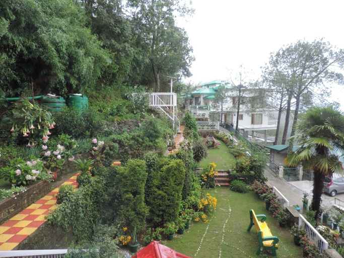 Others 5, The Majestic Cedar, Solan