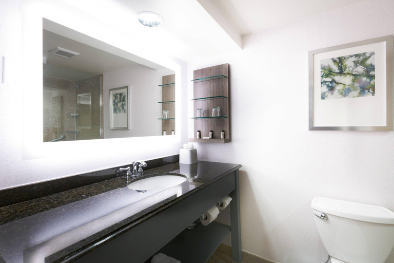 Bathroom 5, Delta Hotels by Marriott Chesapeake Norfolk, Chesapeake