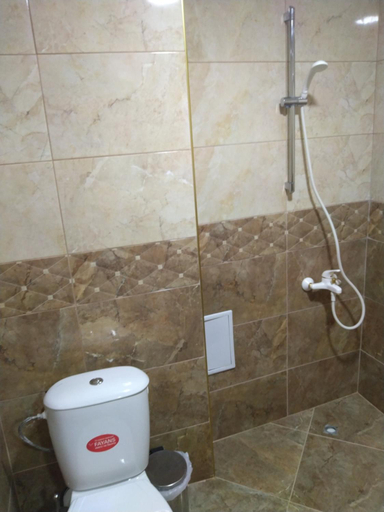 Bathroom 3, Семеен Хотел Дани, Asenovgrad