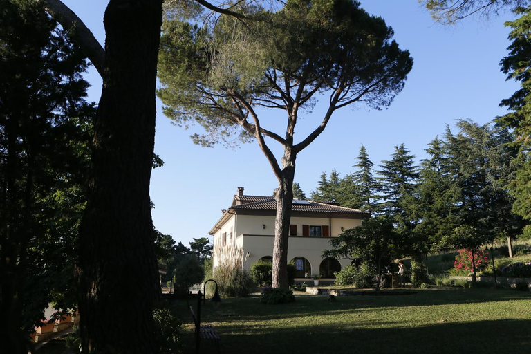 Others 4, Villa Degli Ulivi, Viterbo