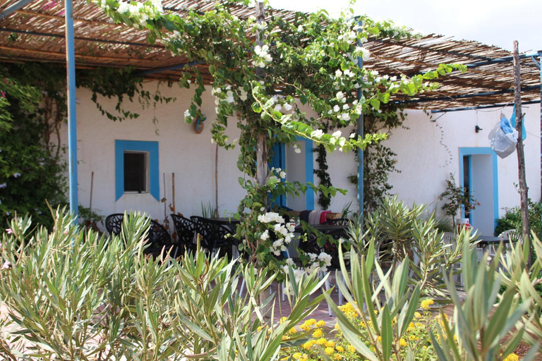 Garden, Riad Kebdana, Nador