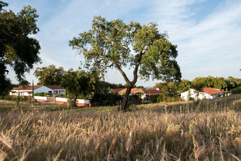 Herdade das Barradas da Serra, Grândola