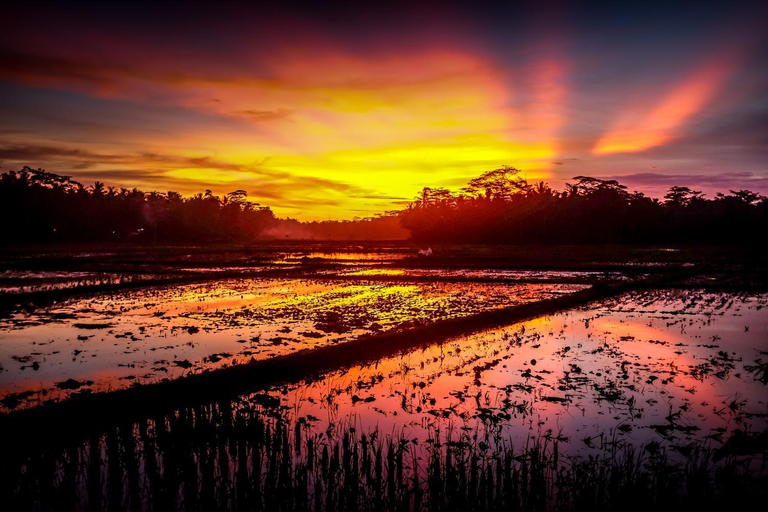 Scenery