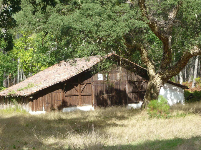 Appartements a cote Lac Marin de Port d'Albret, Landes