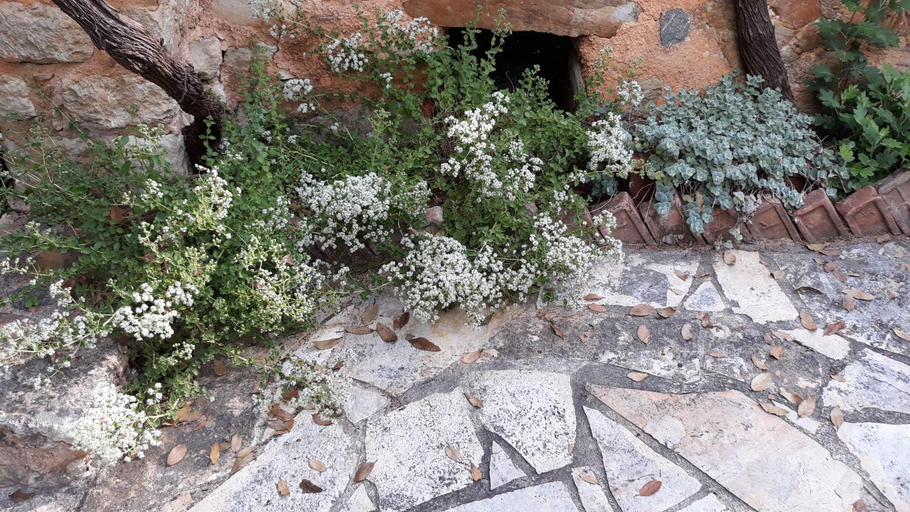 Others 5, Sarris House, Crete