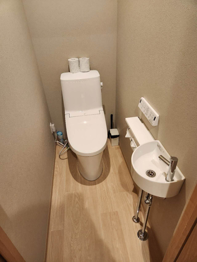 Bathroom 3, Tamatsukan, Osaka