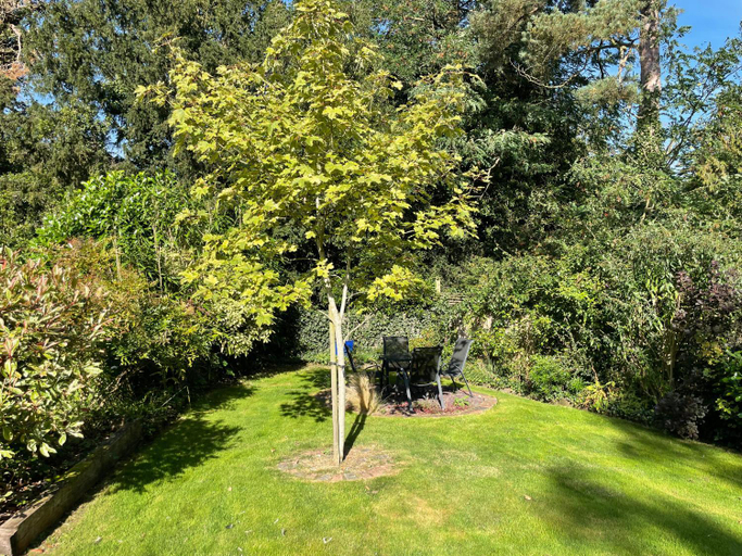 View 2, Squirrel, Suffolk