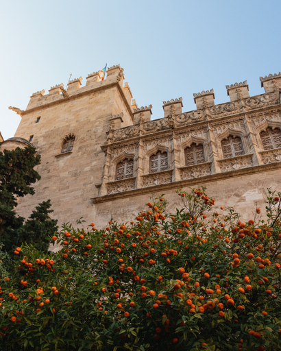 Exterior & Views 2, Promotur Suites - Ayora, Valencia