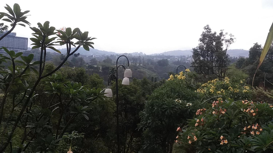 Scenery 16