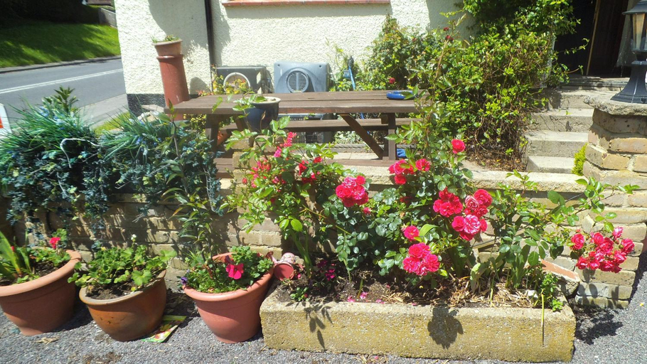 Others 3, Englands Rose, Oxfordshire