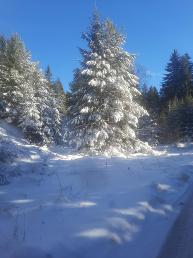 Others 5, Семеен хотел Кристал, Smolyan