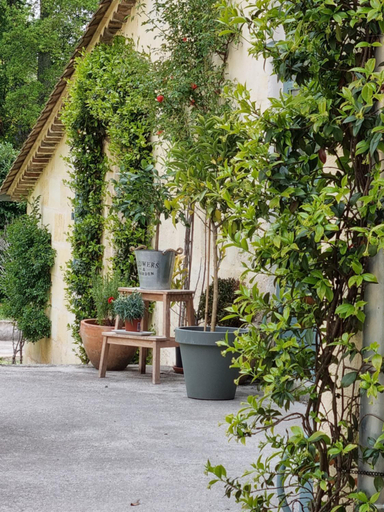 Others 5, chambre saint emilion - Le Clos d'Antan, Gironde