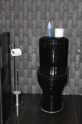 Bathroom 3, Falcon Guesthouse, Siyanda