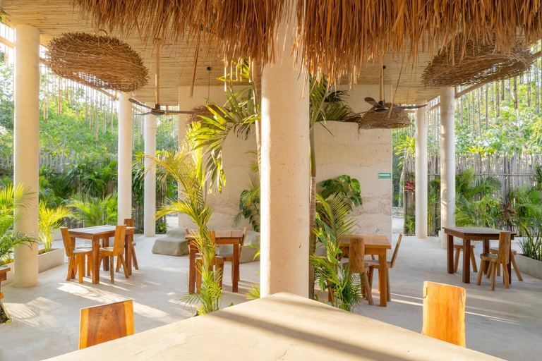 Food & Drinks 5, Jungle Studios in Tulum by Casago, Cozumel