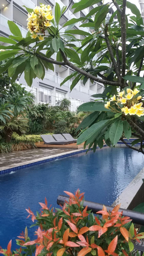 Swimming Pool 8
