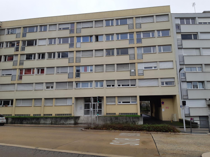 Jungle, Moselle