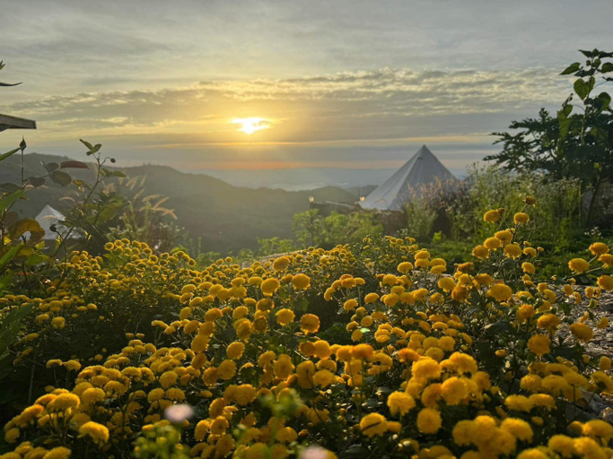 Others 4, Hippo Homestay, Mae Suai