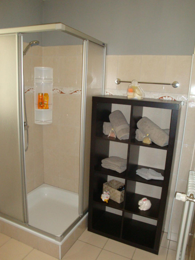 Bathroom 2, Casa Lucini, Bernina