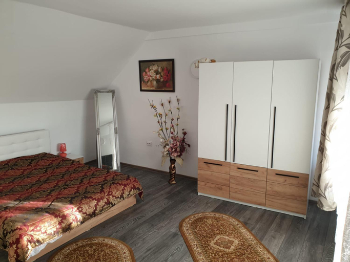 Others 5, Casa Cristea, Danes