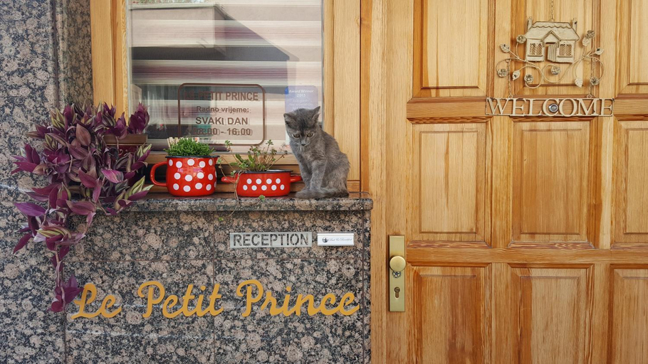Others 4, Le Petit Prince, Sarajevo